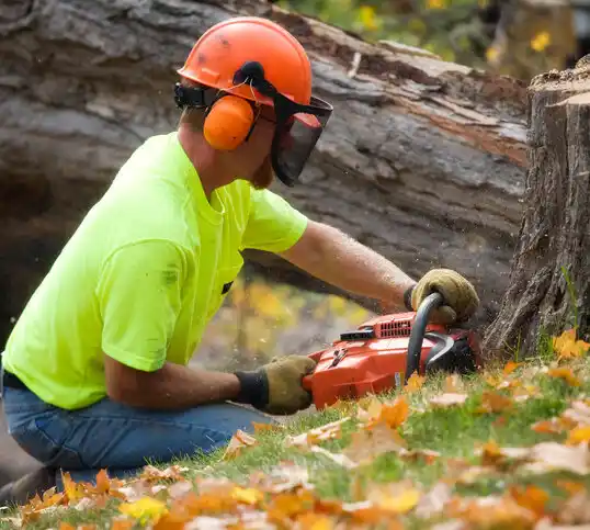 tree services Brogden